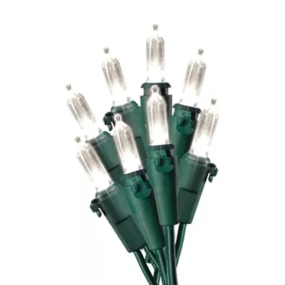 100lgt Led Mini Warm White Set