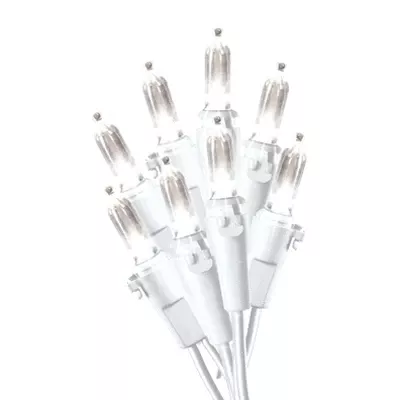 100lgt Led Warm White Mini Set
