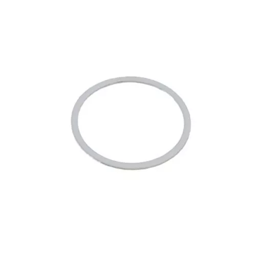 201006 - Old Style Teflon Gasket