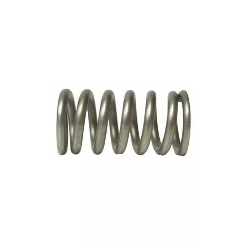 402005 - Pressure Spring - 25#, 30# and 35# MAWP Vents