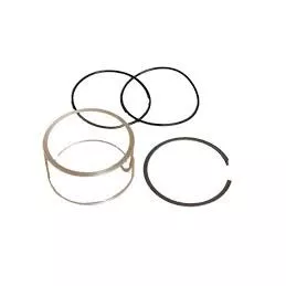 4540Sg-Rk1 - Api Drop Adapter Repair Kit