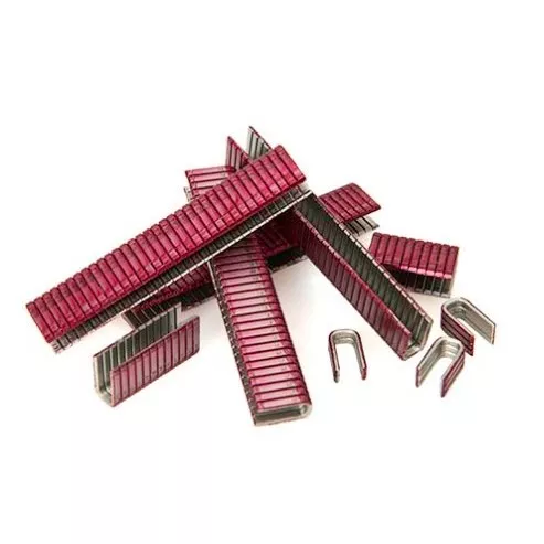 50146 - S187 STAPLES
