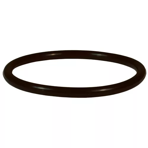5204K1 - Baylast™ Poppet O-Ring