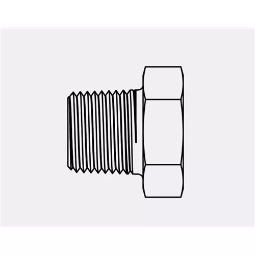 5406-E-12-06 - 12MP-06FP SHORT HEX REDUCER