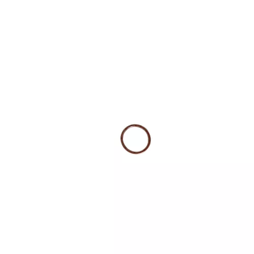 75206TS - Piston/Disc O-Ring Teflon Silicone