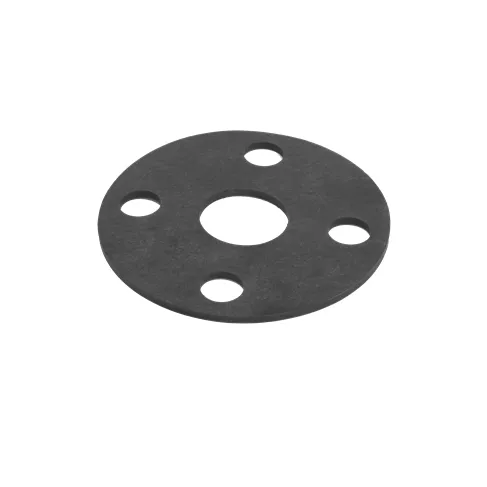 AF100GV - 1" Ansi Flange FKM Gasket