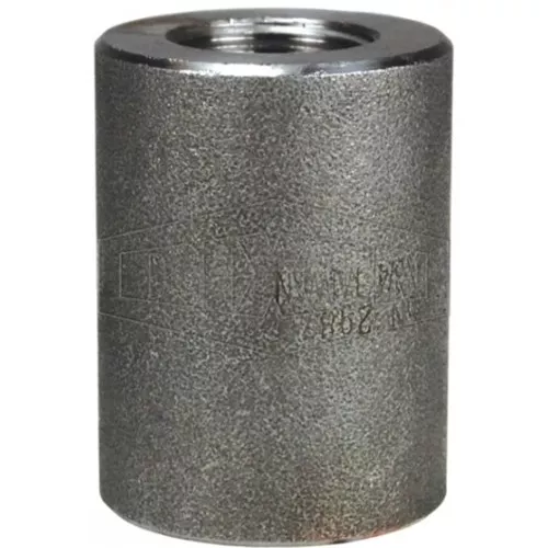 BR2010FS - NPT Threaded Bell Reducer