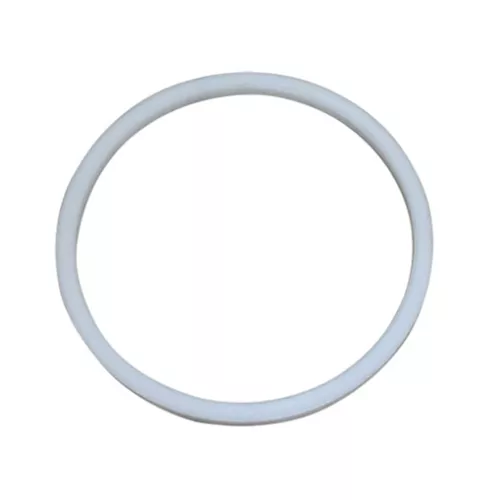 BUNG200-TF - 2"Buna Gasket Teflon