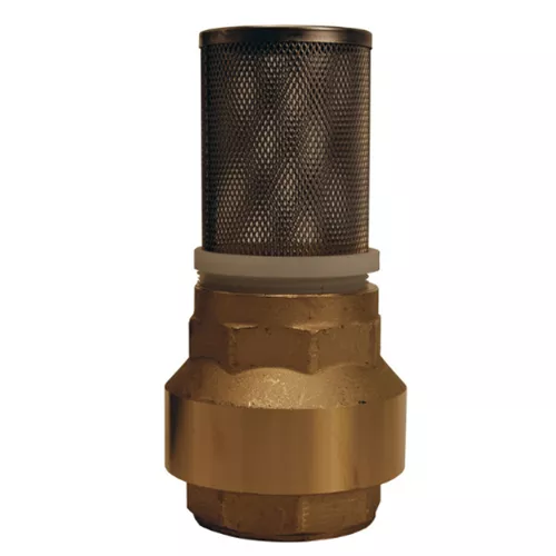 BVFS25 - Strainer with Spring-Loaded Check Valve