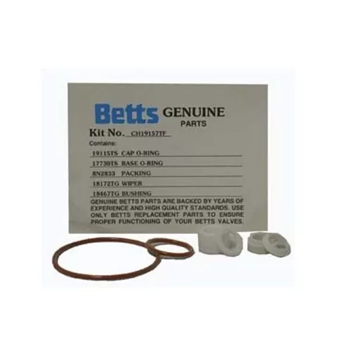 CH19157TF - Repair Kit Spring Housing Quick Clean Valve
