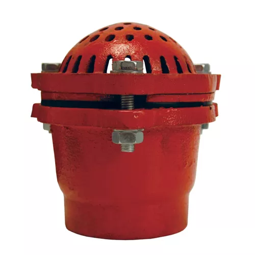 DFVS25 - Cast Iron Foot Valve