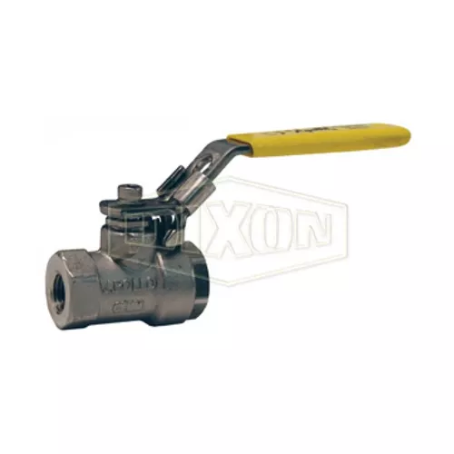 DSBV100 - 2-Piece Domestic Stainless Steel Ball Valve