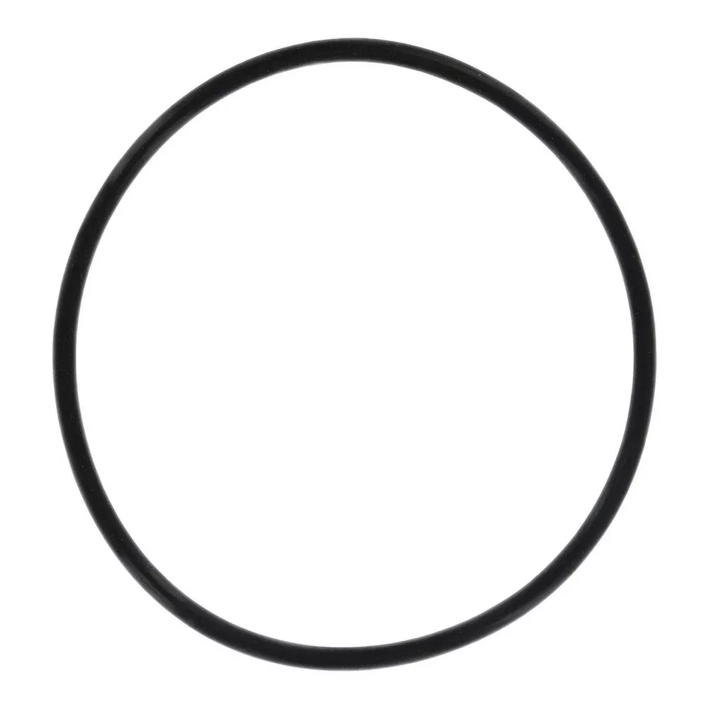Everpure 143273 O-Ring for CB20 Series Housings