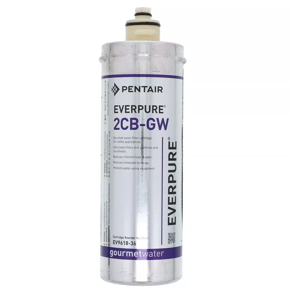 Everpure 2CB-GW EV9618-36 Filter Cartridge