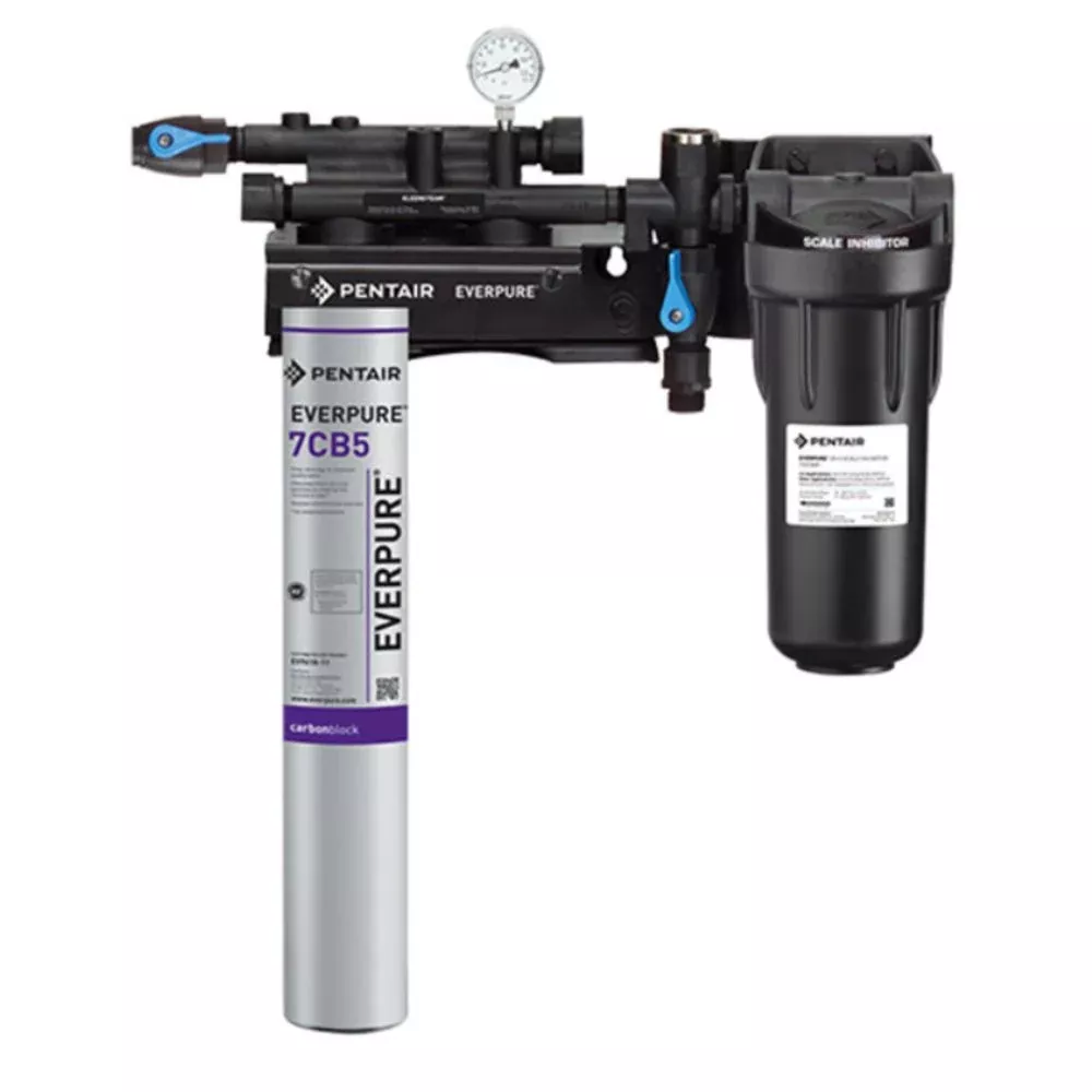 Everpure EV9797-21 Kleensteam II Single System for Steam Applications
