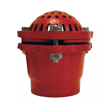 FV20 - Complete Foot Valve