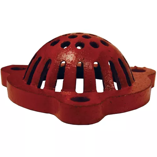 FVS40 - Painted Cast Iron Strainer