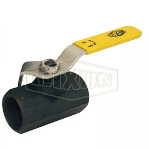IBV100 - Carbon Steel Ball Valve