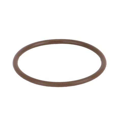 LS100-GV - 1" Line Strainer Gasket-FKM