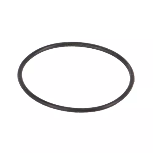 LS141G - 2" Line Strainer EPDM O-Ring #141
