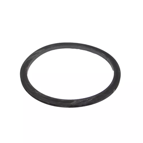 LSS300-G - 3" Stainless Steel Line Strainer Gasket