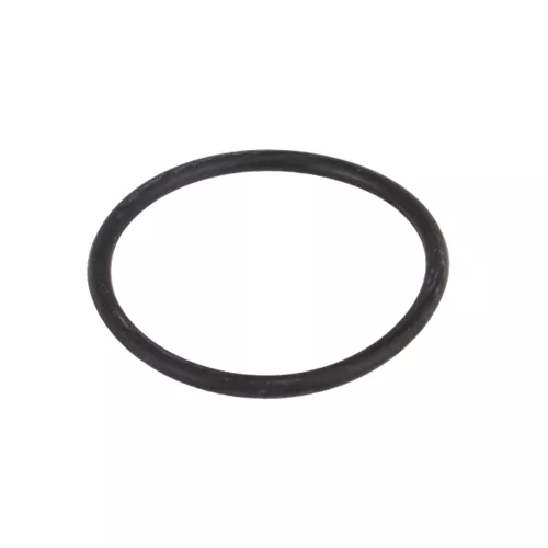 LST150-G - 1½" & 1¼" T Strainer Gasket