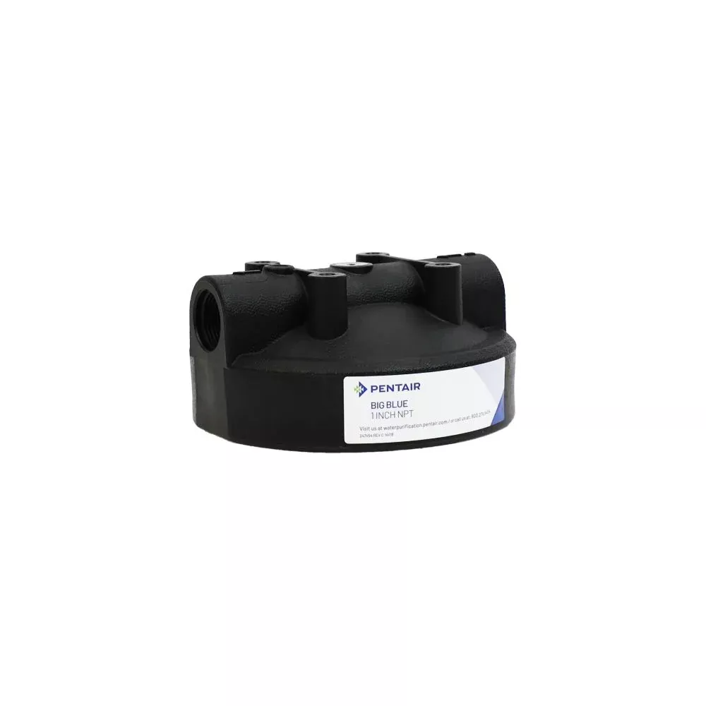 Pentek 154515 Black Bag Filter Cap -1/4"Vent - 1" FPT