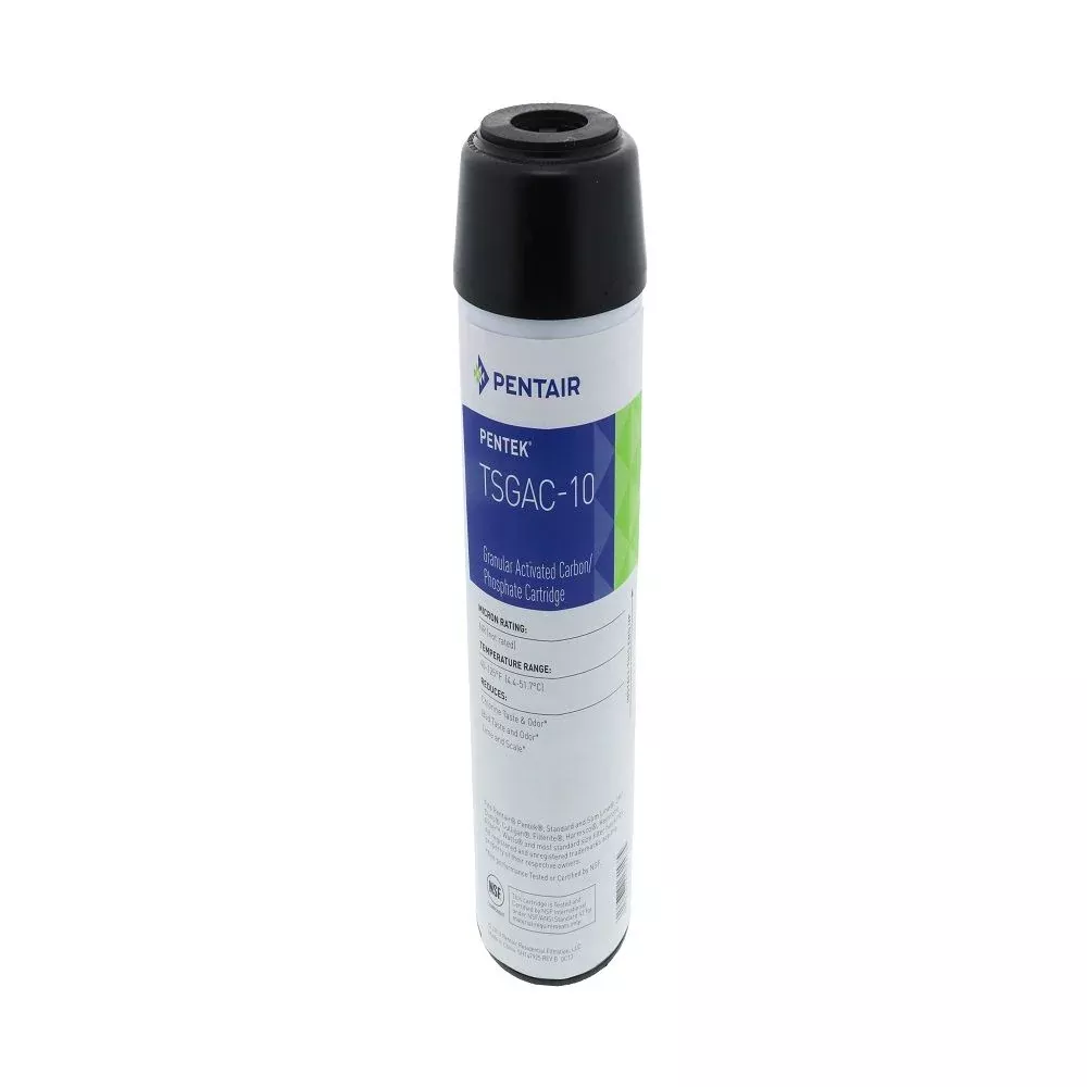 Pentek 155131-43 TSGAC-10/CGT-10S Combination Carbon/Phosphate Filter (CGT-20)