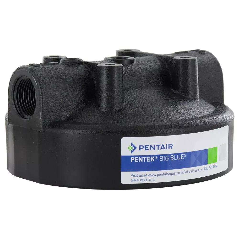 Pentek Black HFPP Cap w/o PR for Big Blue Housings