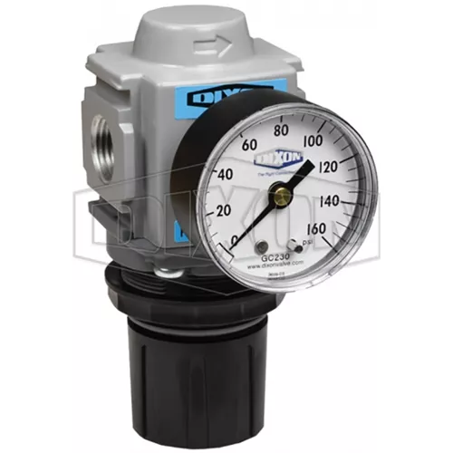 R18-02RG - Wilkerson FRLs R18-Series Compact Regulator