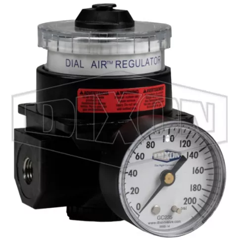 R21-06RG - Wilkerson FRLs R21-Series Dial Air Regulator