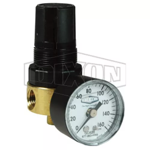 R364-02CG - Watts FRLs R643-Series Miniature Regulator with Gauge