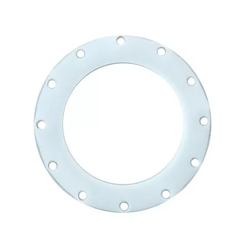 RGA601TF-A - 6"Teflon Envelope TTMA Gasket