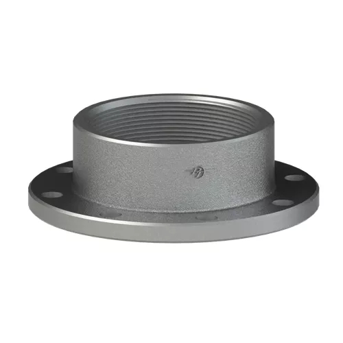 TTF30NPTF SS - 3"TTMA Flange x Female NPT SS