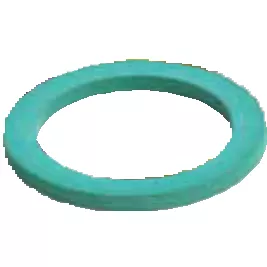 V02 -Cam and Groove Gasket Viton