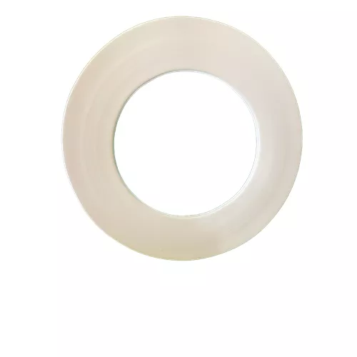 Vsp#8499 - Gasket Ring 4.000" 150# .125" Premium Ex