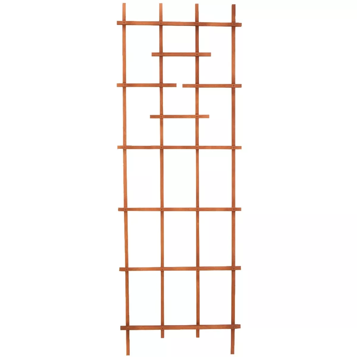 Wooden Ladder Trellis, 72 In.